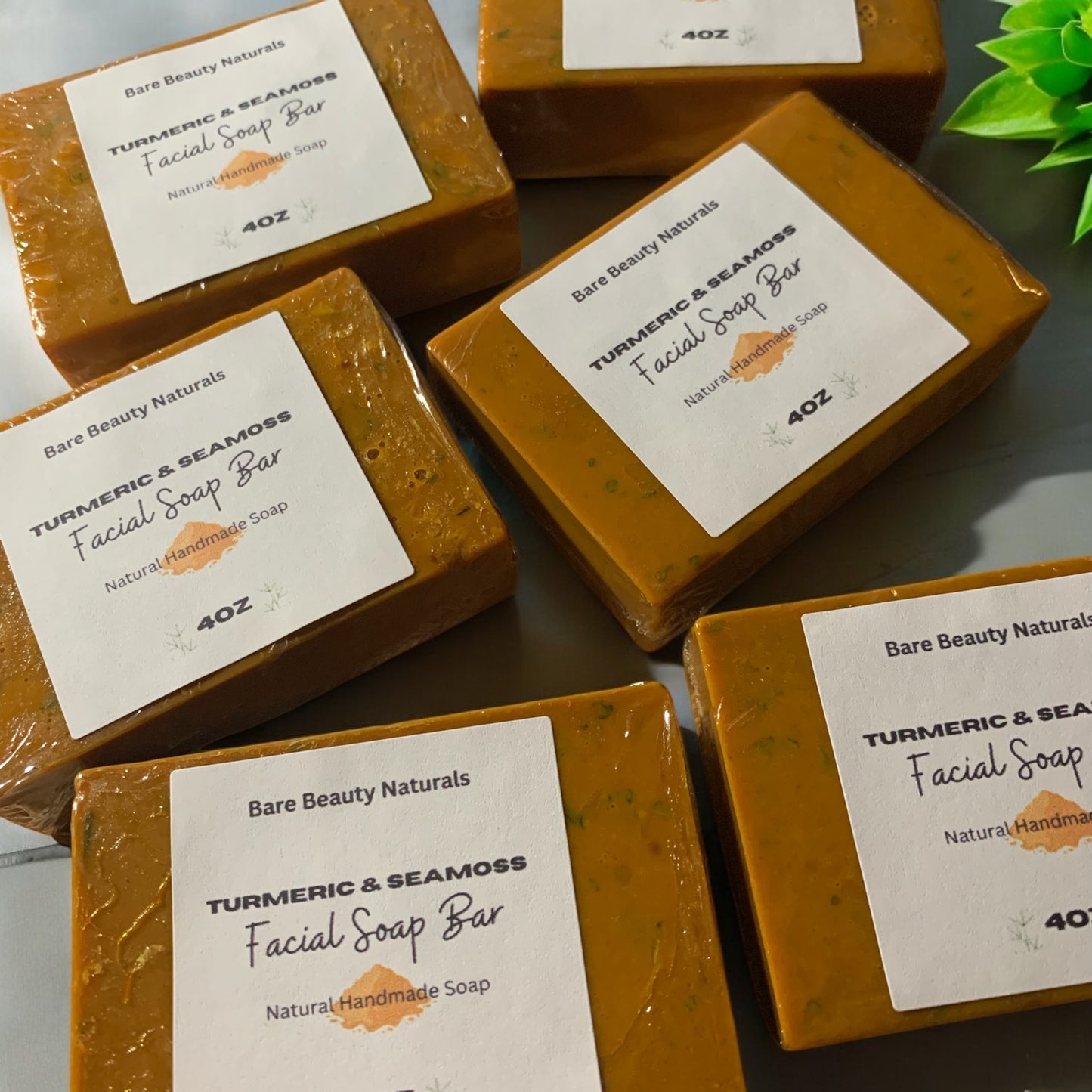 Turmeric & Sea Moss Facial Bar